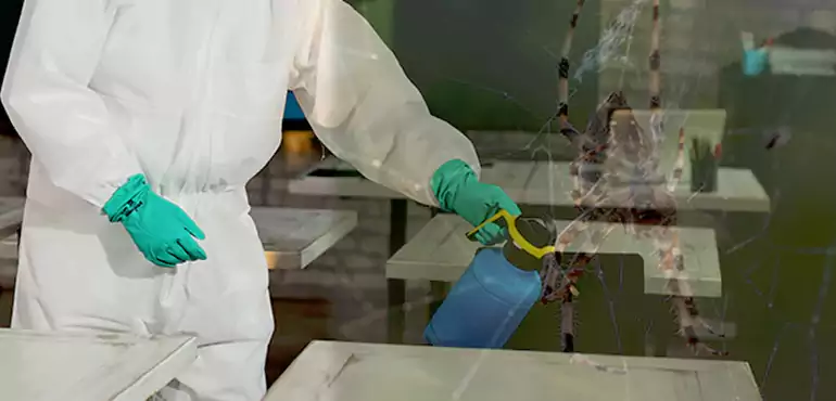 Why Buyers Still Want Homes With Pest Infestations in Mississippi, MS?