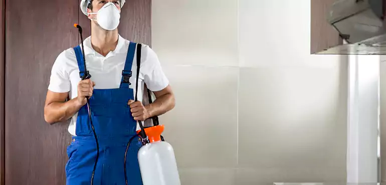 Why Mississippi Homeowners Choose Us When Pests Make Selling Difficult