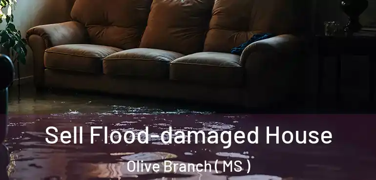  Sell Flood-damaged House Olive Branch ( MS )