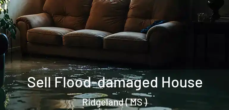  Sell Flood-damaged House Ridgeland ( MS )