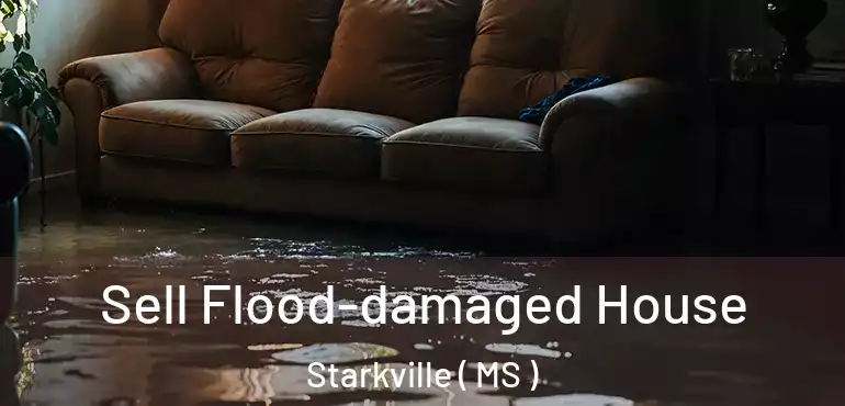  Sell Flood-damaged House Starkville ( MS )