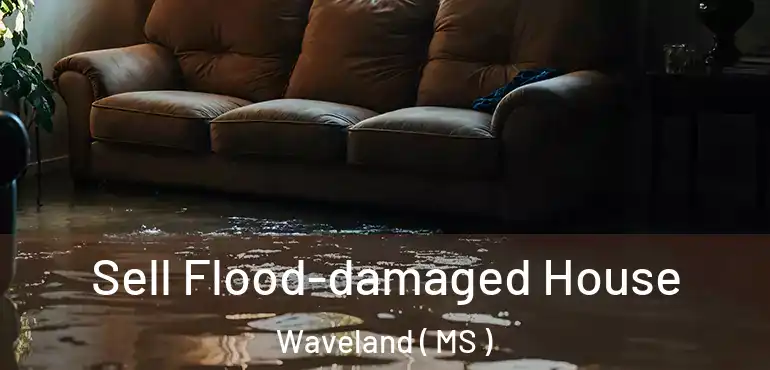  Sell Flood-damaged House Waveland ( MS )