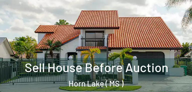  Sell House Before Auction Horn Lake ( MS )