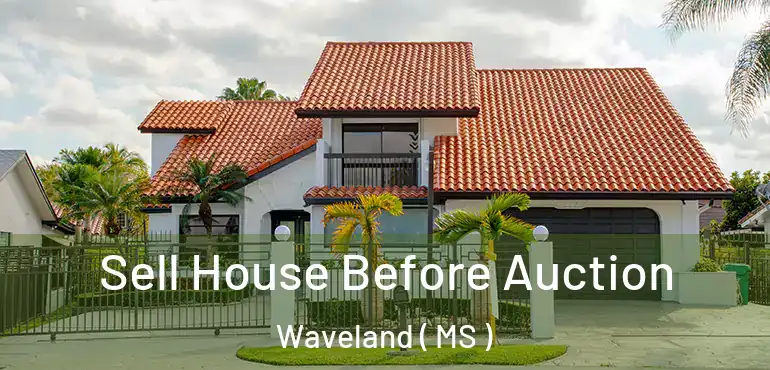  Sell House Before Auction Waveland ( MS )