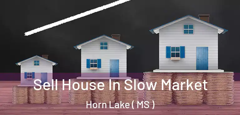  Sell House In Slow Market Horn Lake ( MS )