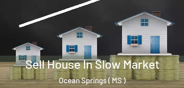  Sell House In Slow Market Ocean Springs ( MS )