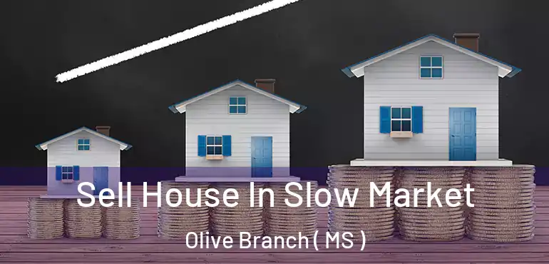  Sell House In Slow Market Olive Branch ( MS )