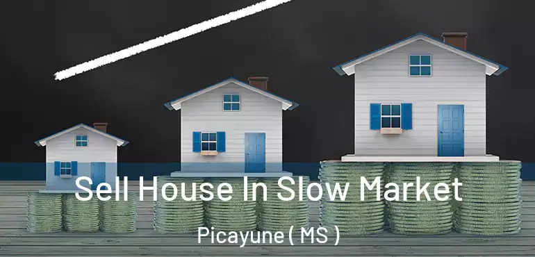  Sell House In Slow Market Picayune ( MS )