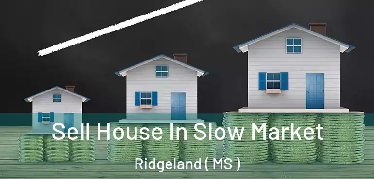  Sell House In Slow Market Ridgeland ( MS )
