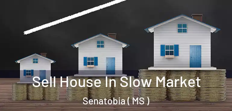  Sell House In Slow Market Senatobia ( MS )