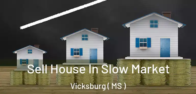  Sell House In Slow Market Vicksburg ( MS )