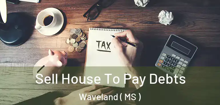  Sell House To Pay Debts Waveland ( MS )
