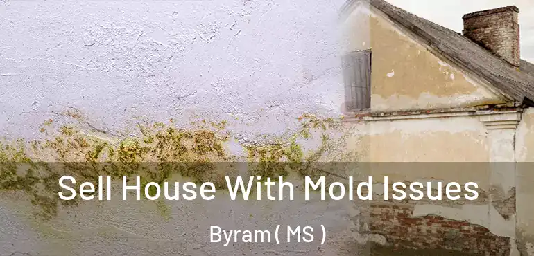  Sell House With Mold Issues Byram ( MS )