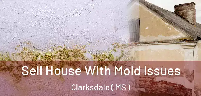  Sell House With Mold Issues Clarksdale ( MS )