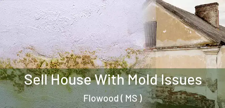  Sell House With Mold Issues Flowood ( MS )