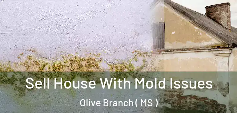  Sell House With Mold Issues Olive Branch ( MS )
