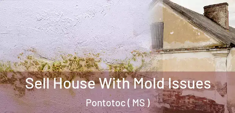  Sell House With Mold Issues Pontotoc ( MS )