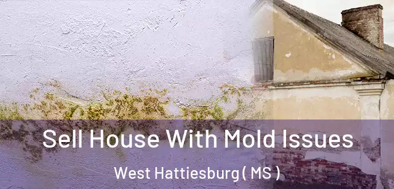  Sell House With Mold Issues West Hattiesburg ( MS )